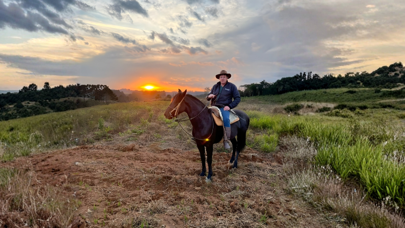 Da base ao topo: Altevir Seidel revela a engenharia sofisticada que transforma guindastes em protagonistas das grandes obras.